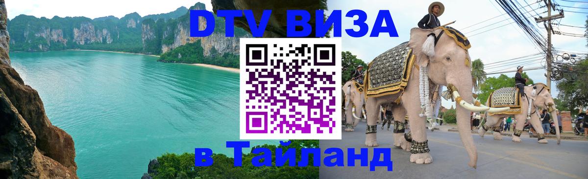 Сколько стоит DTV виза — актуальные цены, оформление даже без документов - 04.10.2025 